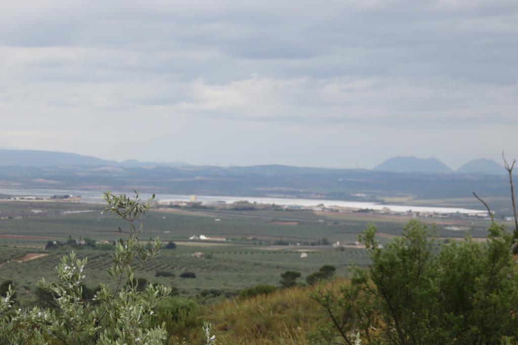 Hotel Antequera Rural Fortes La Nuit Mollina Екстериор снимка